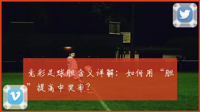 竞彩足球胆含义详解：如何用“胆”提高中奖率？